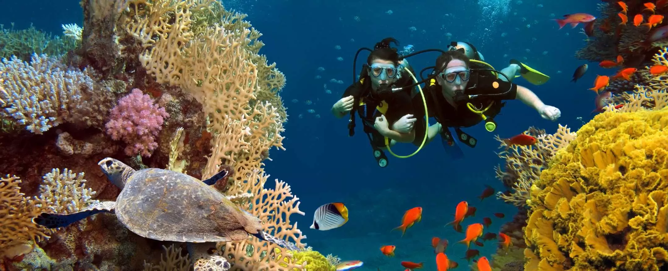 Booking  Dive Resort Sienna | Sienna Resort