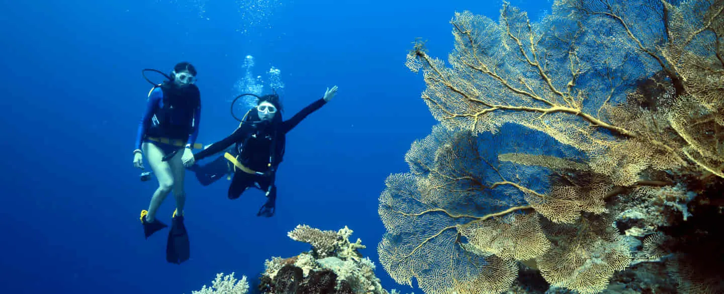 PADI Dive Resort, Private Island Resort at The Heart of Maratua Island Indonesia