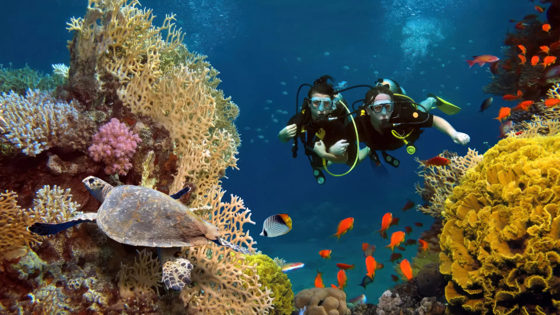 Dive Center