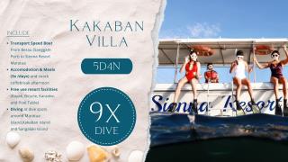 Kakaban Villa 5D4N 9x Dive