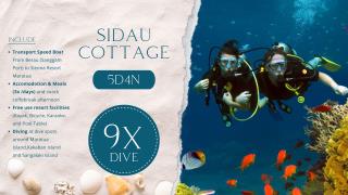 Sidau Cottage 5D4N 9x Dive