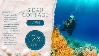 Sidau Cottage 6D5N 12x Dive