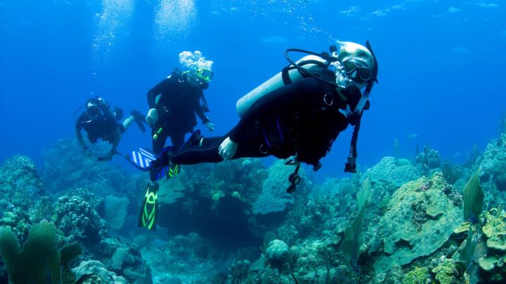 Discover Scuba Diving